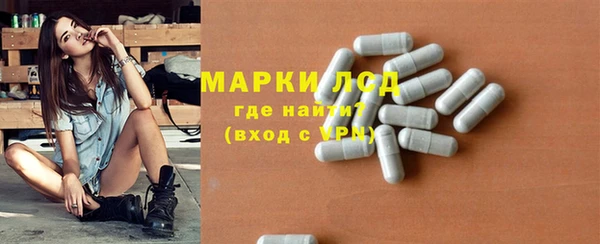 спайс Аркадак
