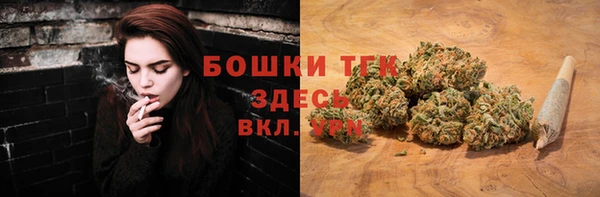 PSILOCYBIN Алексин